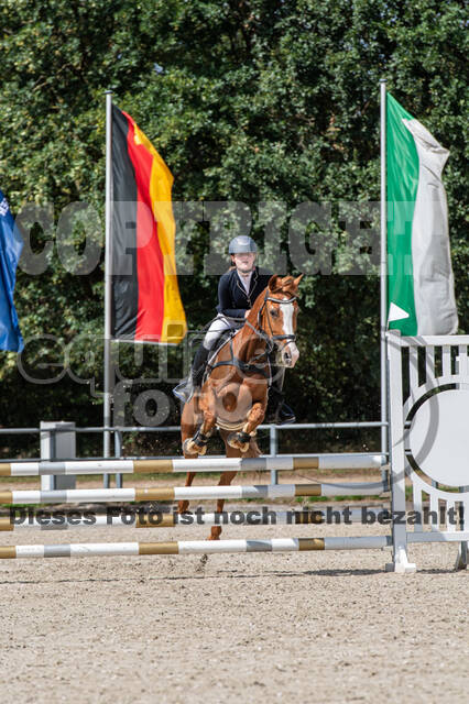 Landesturnier Rheinland, Vielseitigkeit, 22.+23.08.2020