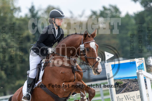 Goldene Schärpe 2020 - Pferde