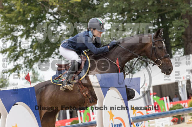 FEI European Championship