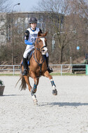Eventing Langenfeld