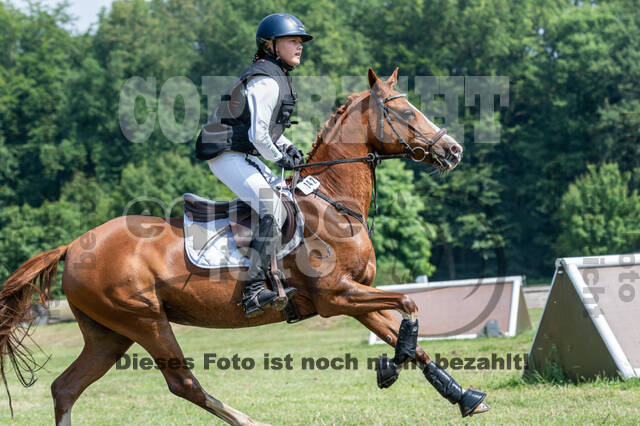 Goldene Schärpe 2021 - Ponys