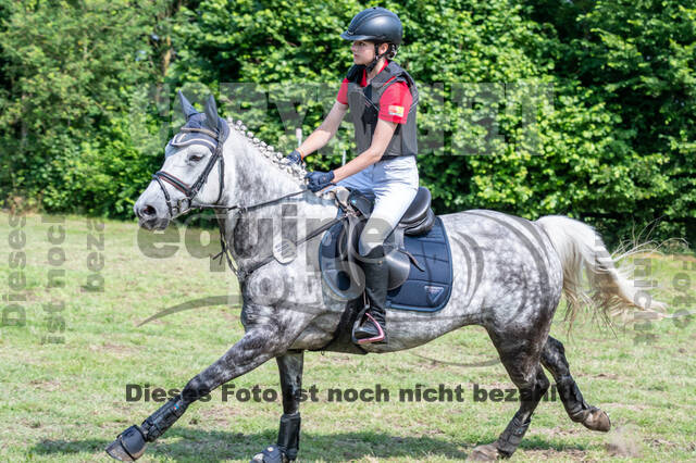 Goldene Schärpe 2021 - Ponys