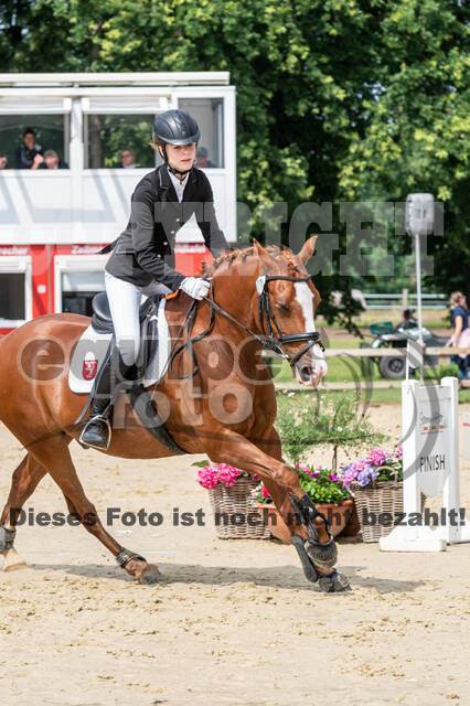 Goldene Schärpe 2021 - Ponys