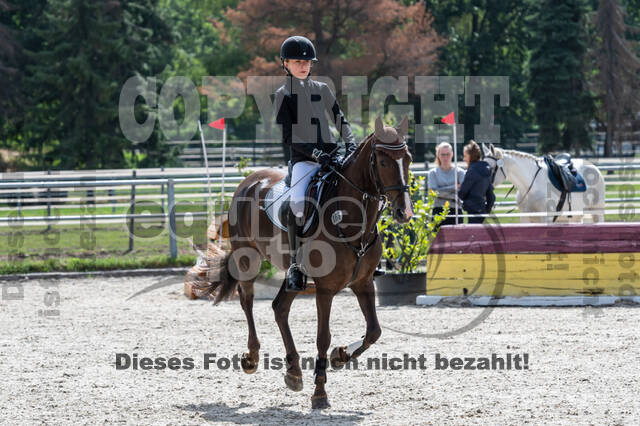 Late-Entry-Vielseitigkeit Langenfeld (06.+07.07.2020)