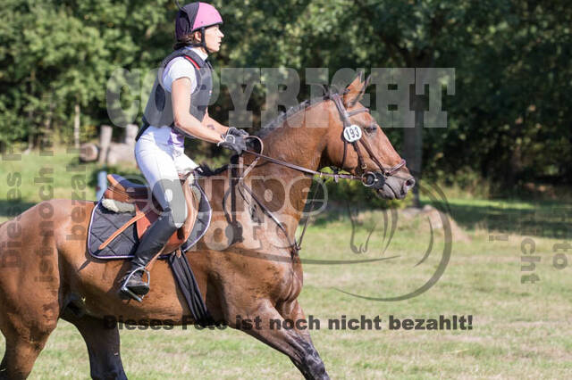 Vielseitigkeitsturnier RSV St. Hubertus Wesel Obrighoven
