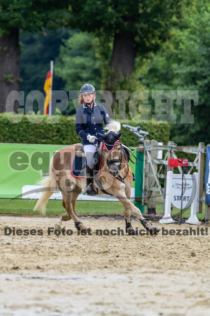 Goldene Schärpe 2021 - Ponys