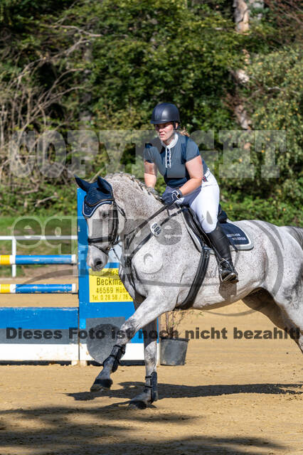 RFV Dinslaken-Hiesfeld (Herbstturnier)