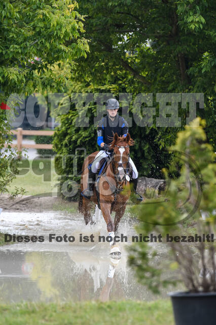 Late-Entry-Vielseitigkeit Langenfeld (11.+13./14.06.2020)