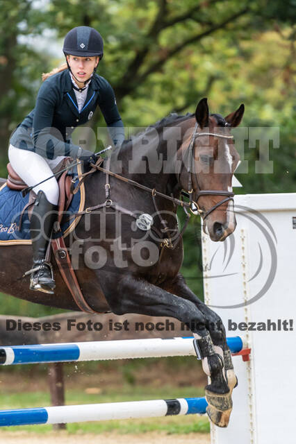 Vielseitigkeit RSV Wesel Obrighoven (26.+27.09.2020)