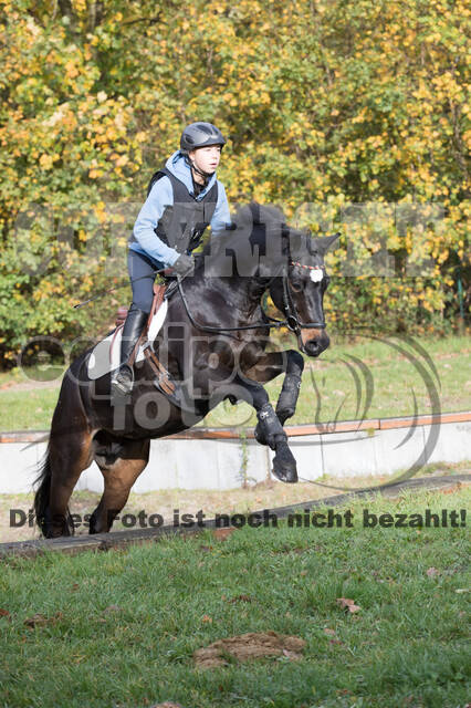 IGV Lehrgang der Sieger der Cups mit Frank Ostholt