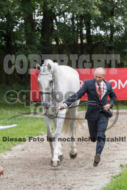 FEI European Championship Eventing 2017