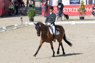FEI European Championship Eventing 2017