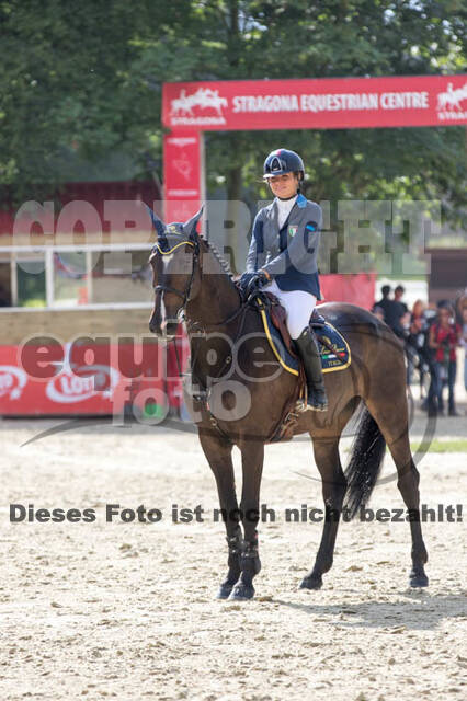 FEI European Championship