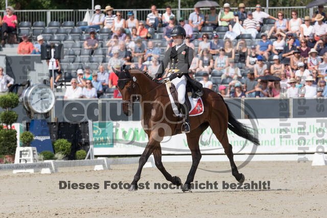 FEI European Championship Eventing 2019