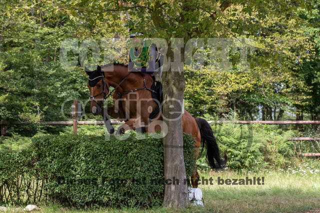 Late-Entry-Vielseitigkeit Gahlen (18.07.2020)