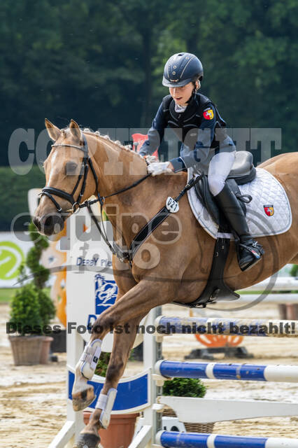 Goldene Schärpe 2021 - Ponys