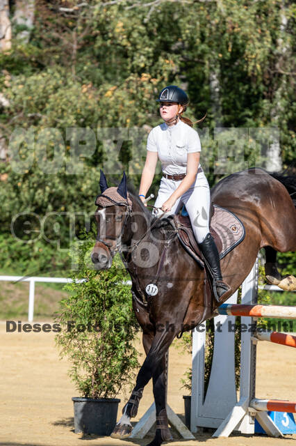 RFV Dinslaken-Hiesfeld (Herbstturnier)