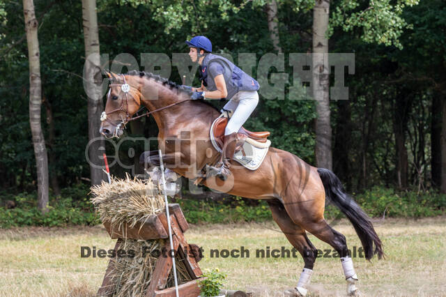 Late-Entry Vielseitigkeit Hamminkeln/Wesel (01.+02.08.2020)
