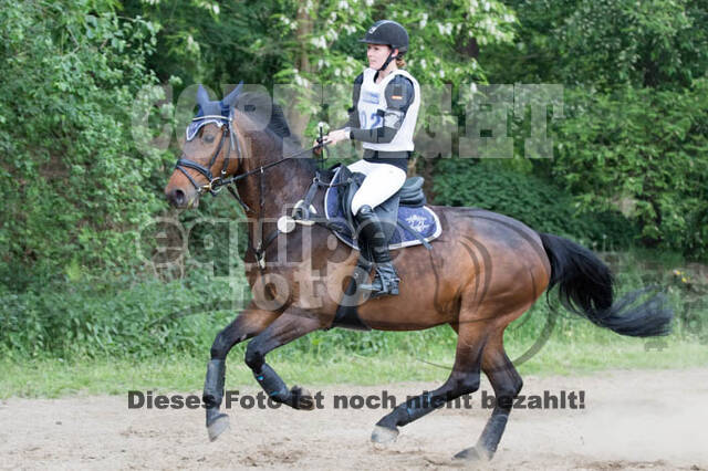 Vielseitigkeitsturnier ZRFV von Lützow Hamminkeln