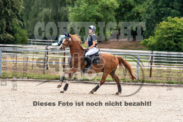 Late-Entry-Vielseitigkeit Langenfeld (11.+13./14.06.2020)