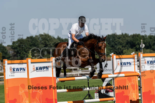 Kronenberg - De Peelbergen (August 2020)