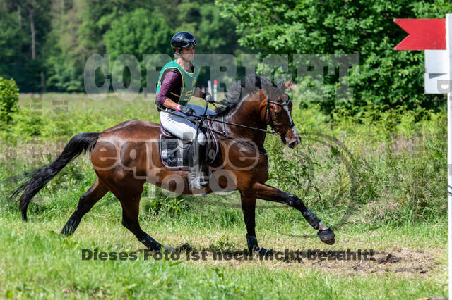 Westerstede Horse Trials (10.-13.06.2021)