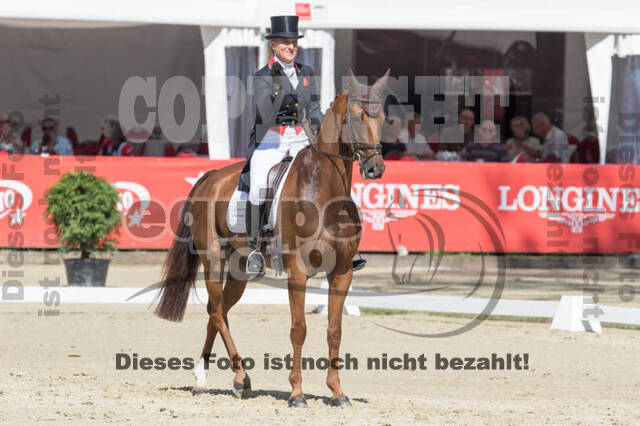 FEI European Championship Eventing 2017