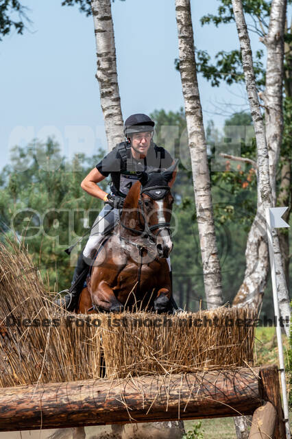 De Peelbergen (August 2020)