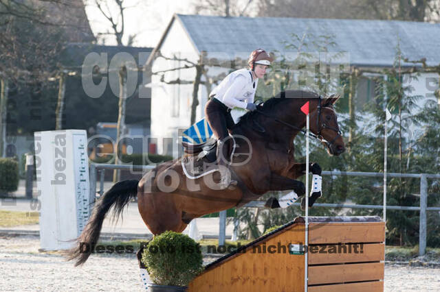 Eventing Langenfeld 2018