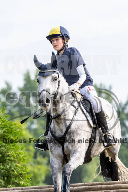 Goldene Schärpe 2021 - Ponys