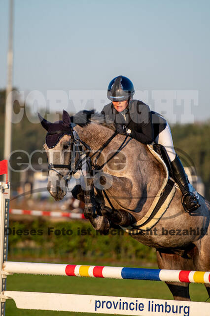 De Peelbergen (August 2020)