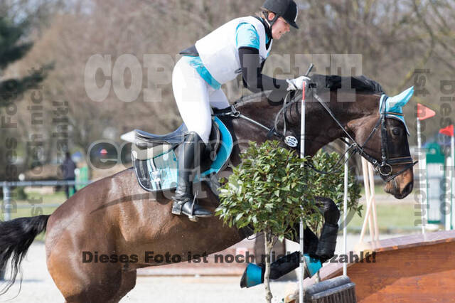 Eventing Langenfeld 2018