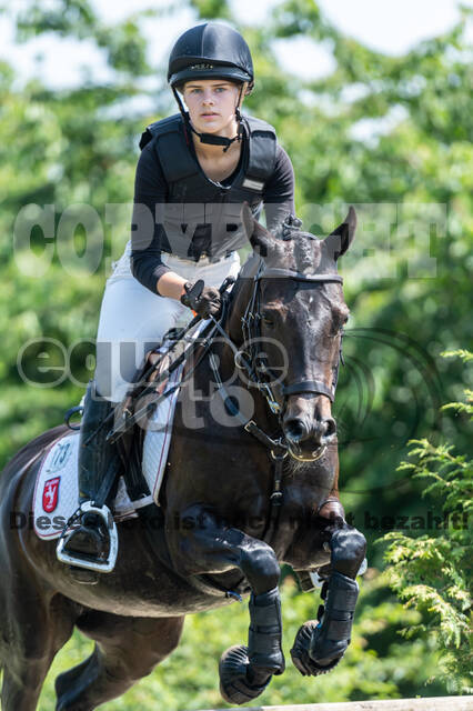 Goldene Schärpe 2021 - Ponys