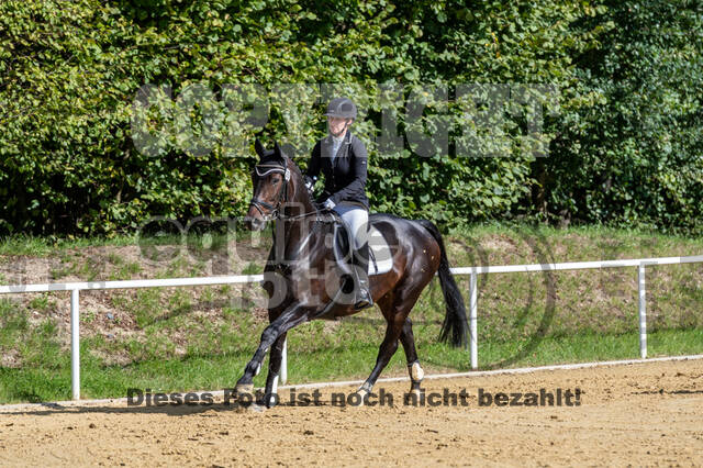 RFV Dinslaken-Hiesfeld (Herbstturnier)