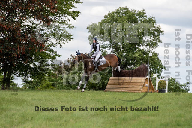 Bonn-Rodderberg Late-Entry-Vielseitigkeit (30.06.2020)
