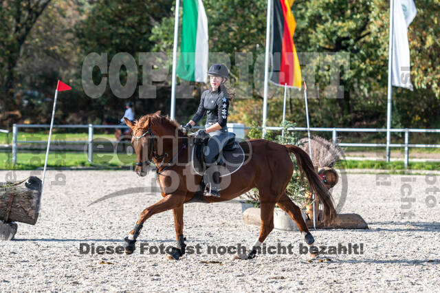 IGV Lehrgang der Sieger der Cups mit Frank Ostholt