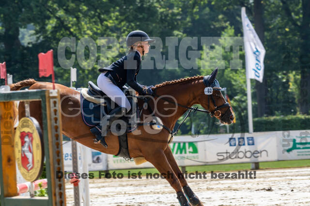 Goldene Schärpe 2021 - Ponys