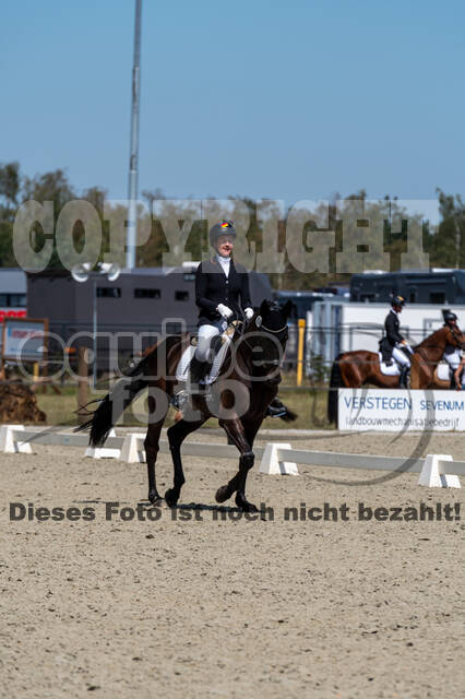 Kronenberg - De Peelbergen (August 2020)