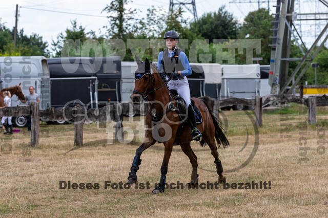 Late-Entry Vielseitigkeit Hamminkeln/Wesel (01.+02.08.2020)