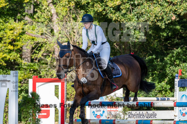 RFV Dinslaken-Hiesfeld (Herbstturnier)