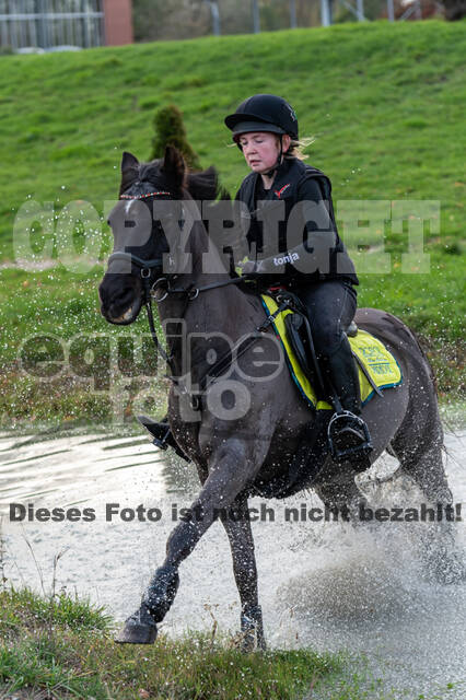 IGV Lehrgang der Sieger der Cups mit Frank Ostholt