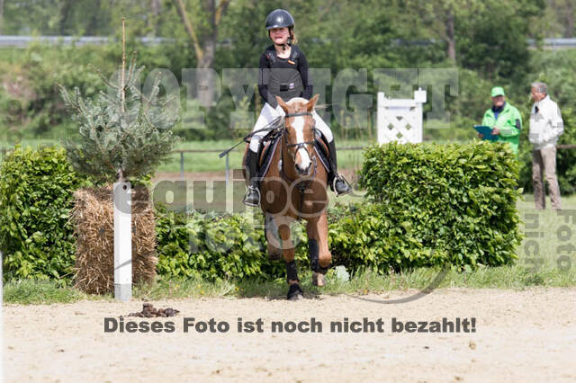 Vielseitigkeitsturnier RuFV Rheurdt