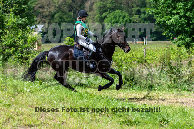 Westerstede Horse Trials (10.-13.06.2021)