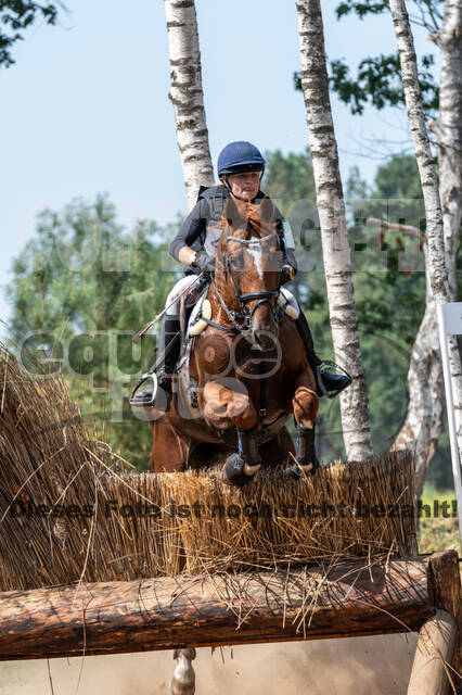 De Peelbergen (August 2020)