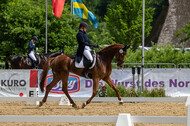 Westerstede Horse Trials 2021