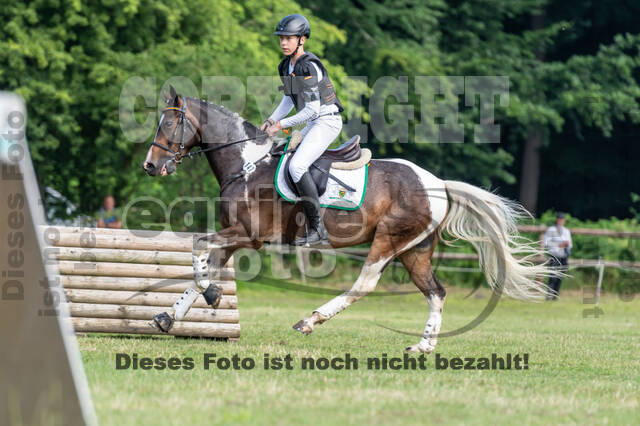 Goldene Schärpe 2021 - Ponys