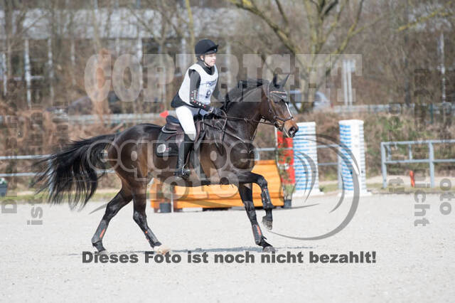 Eventing Langenfeld 2018