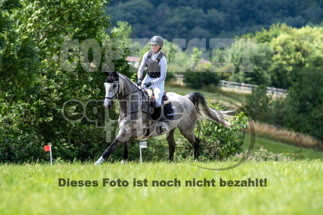 Bonn-Rodderberg Late-Entry-Vielseitigkeit (30.06.2020)