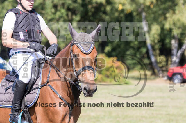 Vielseitigkeitsturnier RSV St. Hubertus Wesel Obrighoven