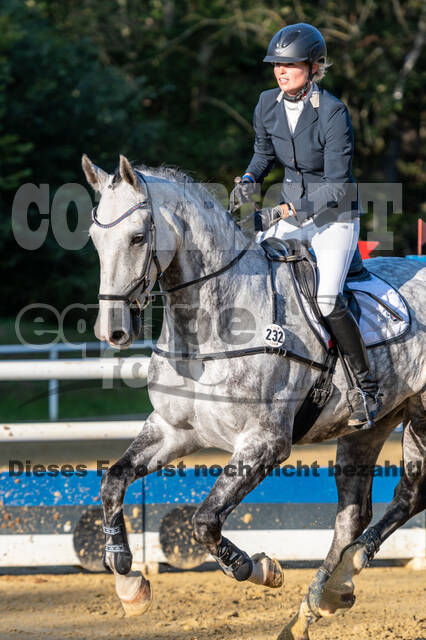 RFV Dinslaken-Hiesfeld (Herbstturnier)